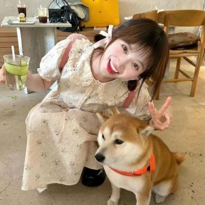 怪兽轨迹
