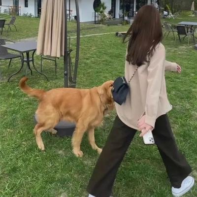 要命的吸引力